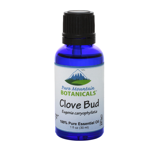 A 1 fl oz cobalt blue glass bottle of Pure Mountain Botanicals Clove Bud essential oil with a black ribbed cap and a white label, isolated on a white background.
